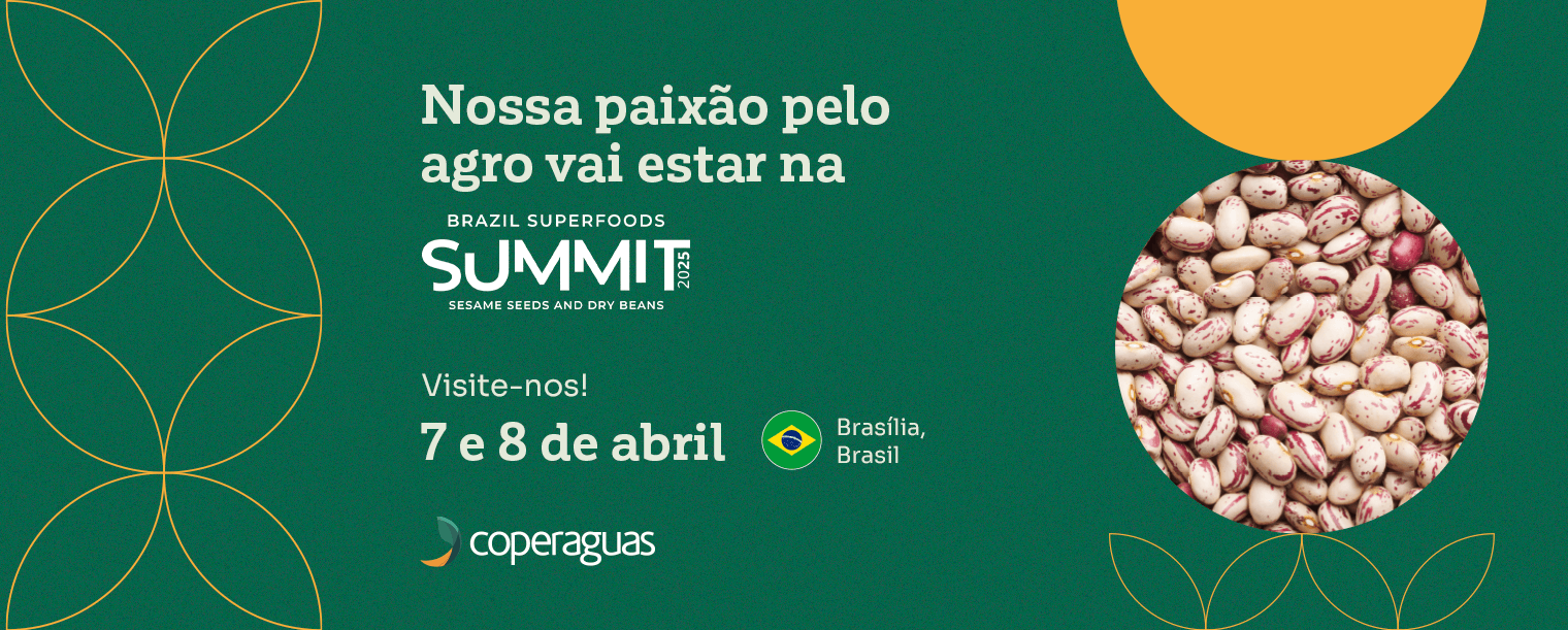 Banner IBRAFE-port (1)